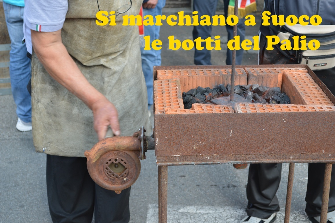 Maggiora 2014 (34)